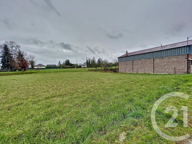 terrain - VILLECHETIF - 10