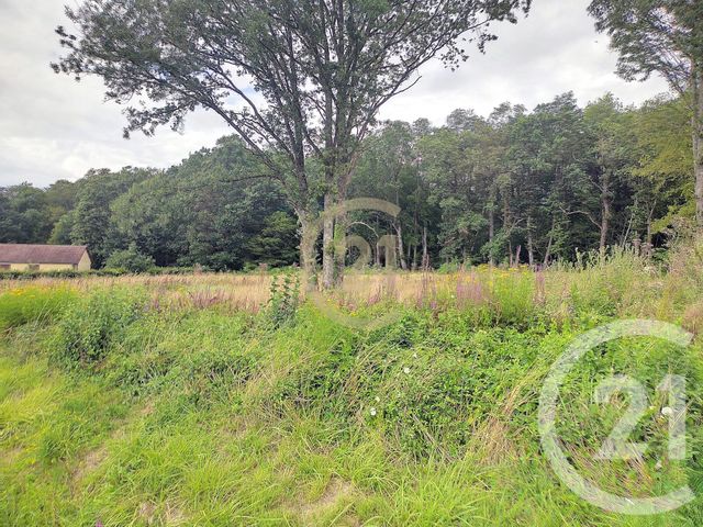 terrain à vendre - 5054.0 m2 - CHESSY LES PRES - 10 - CHAMPAGNE-ARDENNE - Century 21 Lairé Immobilier