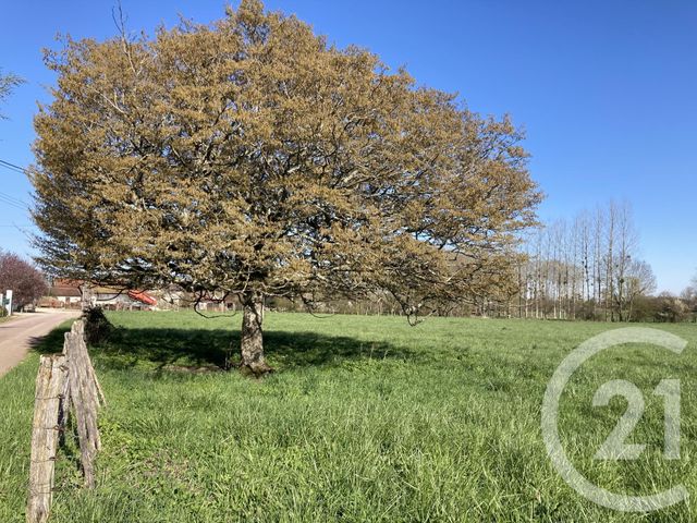terrain à vendre - 12670.0 m2 - ERVY LE CHATEL - 10 - CHAMPAGNE-ARDENNE - Century 21 Lairé Immobilier