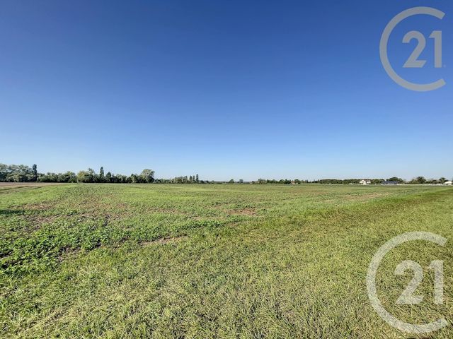 terrain à vendre - 12000.0 m2 - VAUDES - 10 - CHAMPAGNE-ARDENNE - Century 21 Lairé Immobilier